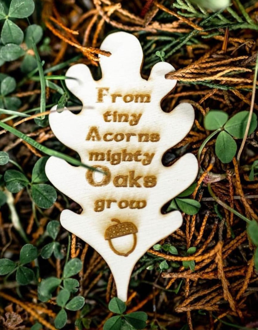 Acorn to Oak