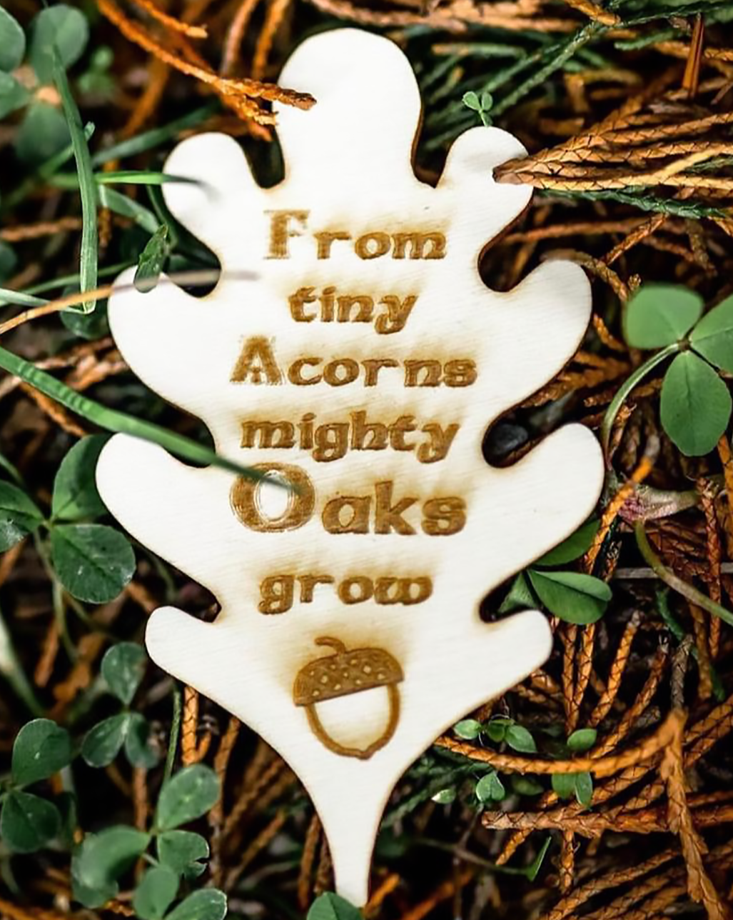 Acorn to Oak